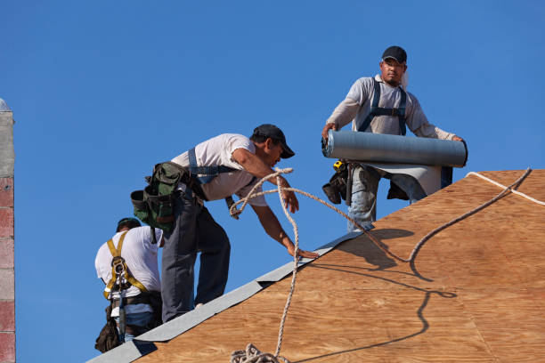 Best Flat Roof Repair Services  in Clarksville, VA